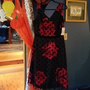 Size 14 Donna Ricco Red and Black Dress